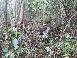 Varios Jogos e Eventos